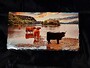 Highlanders Paddling